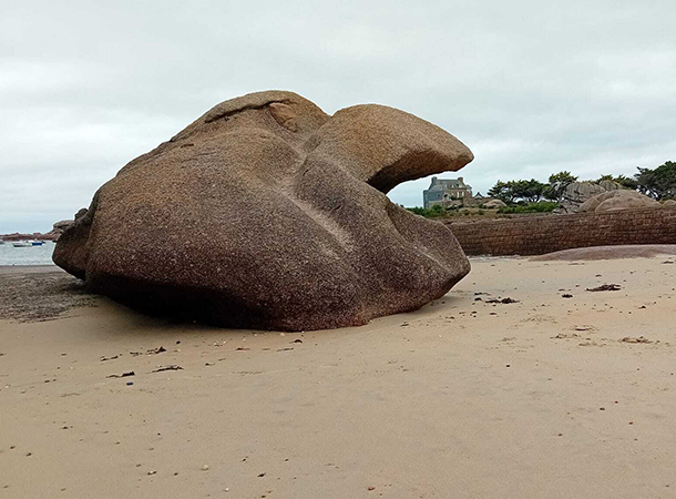 SEJ-2026-Cote-Granit-Rose