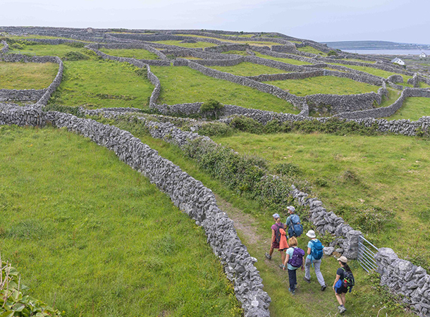 SEJ-2026-Irlande
